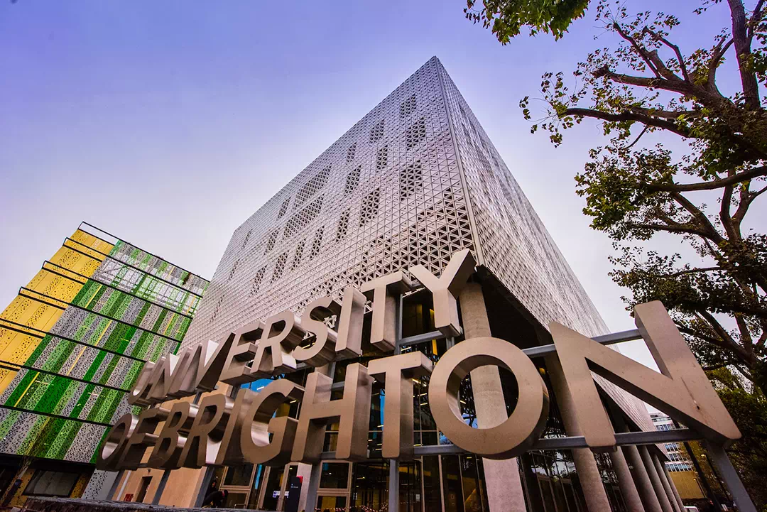 Brighton Üniversitesi
