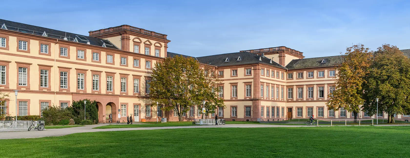 Mannheim Üniversitesi