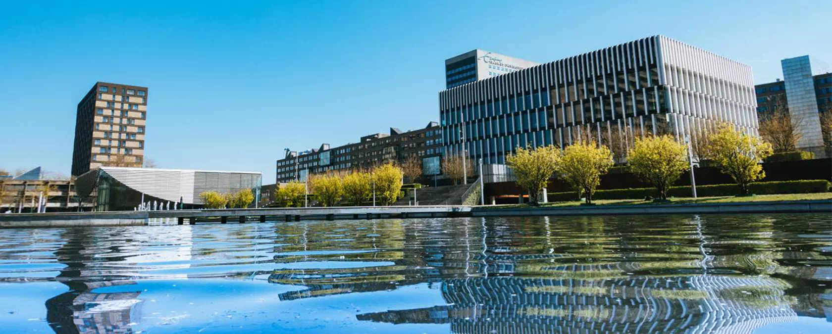 Rotterdam Erasmus Üniversitesi