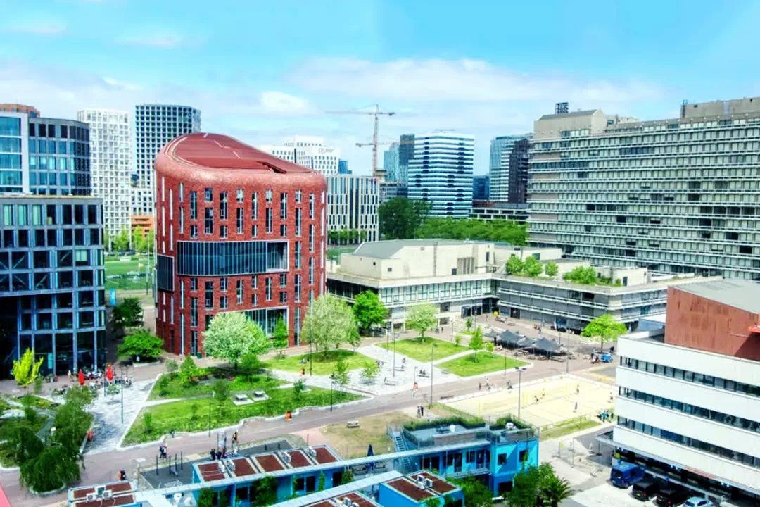 Vrije Üniversitesi
